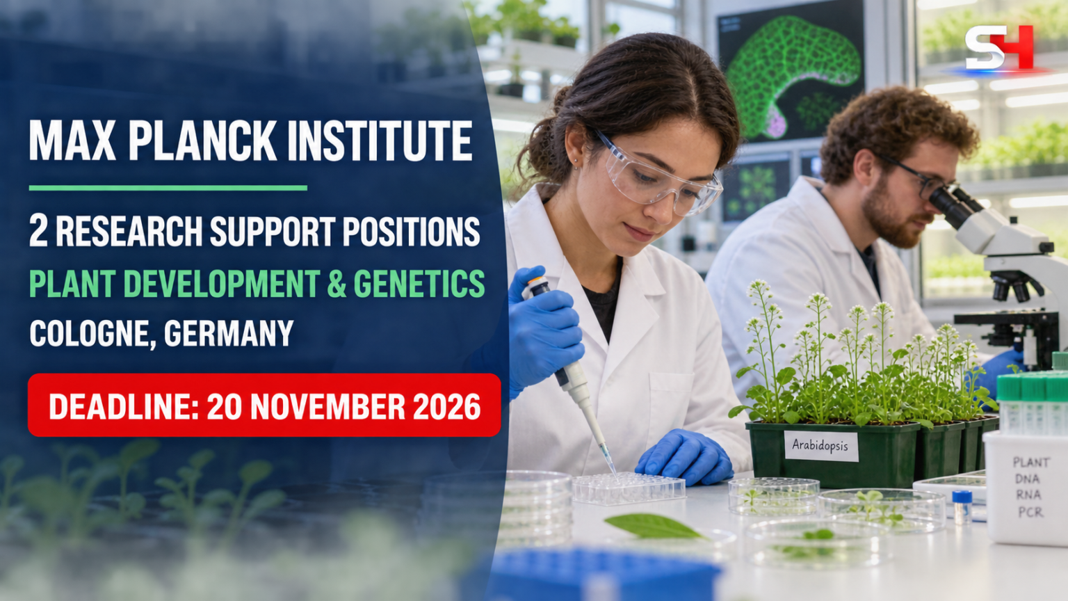 Two MPIPZ Research Support positions in plant development and genetics, deadline 20 November 2026