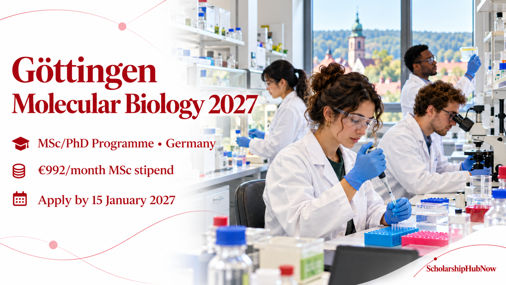 Göttingen Molecular Biology 2027 MSc PhD programme scholarship with €992 monthly MSc stipend and 15 January 2027 deadline
